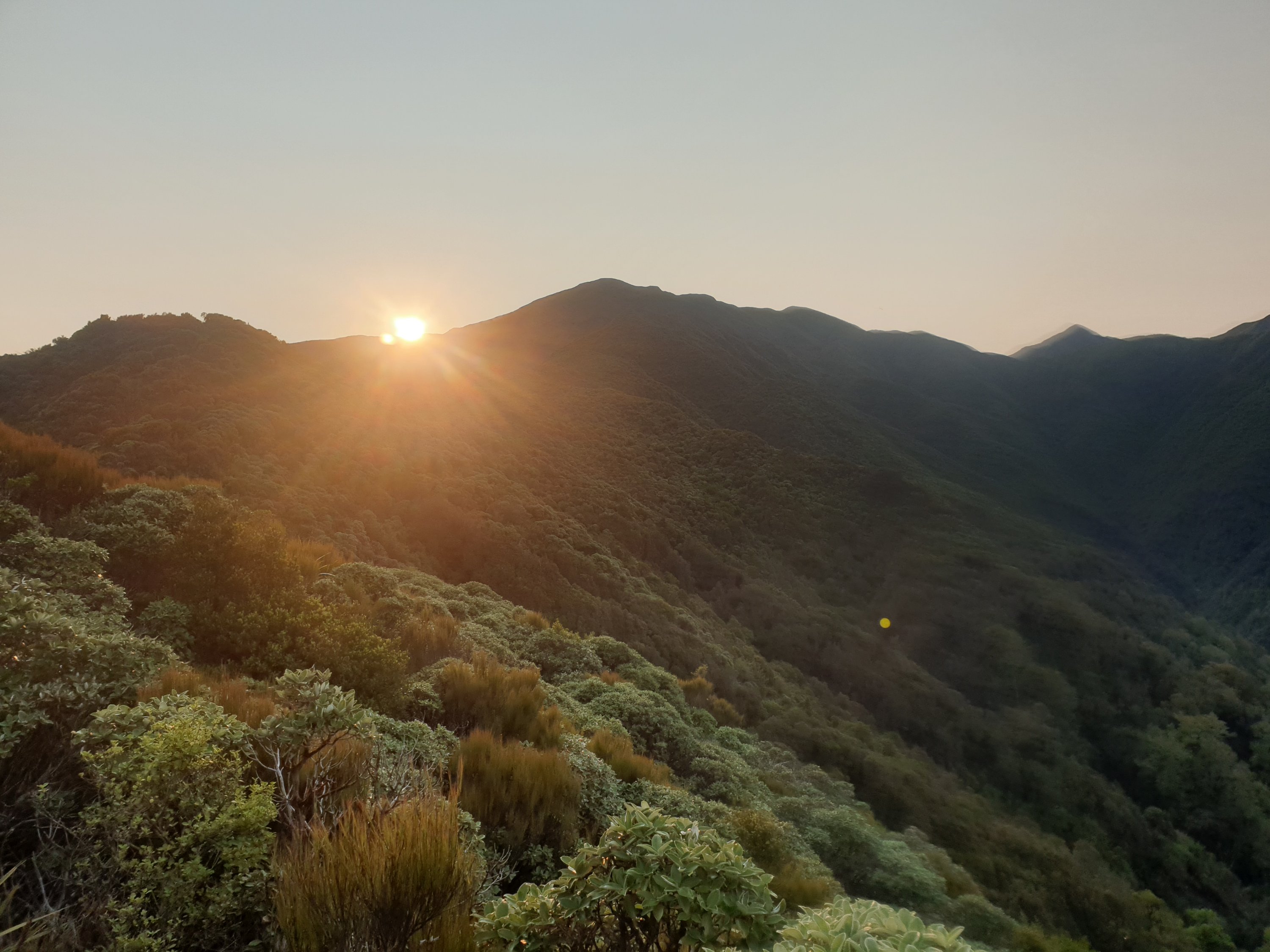 Day 71-74 The Testing Tararua Ranges – Karen's Damn Long Walk