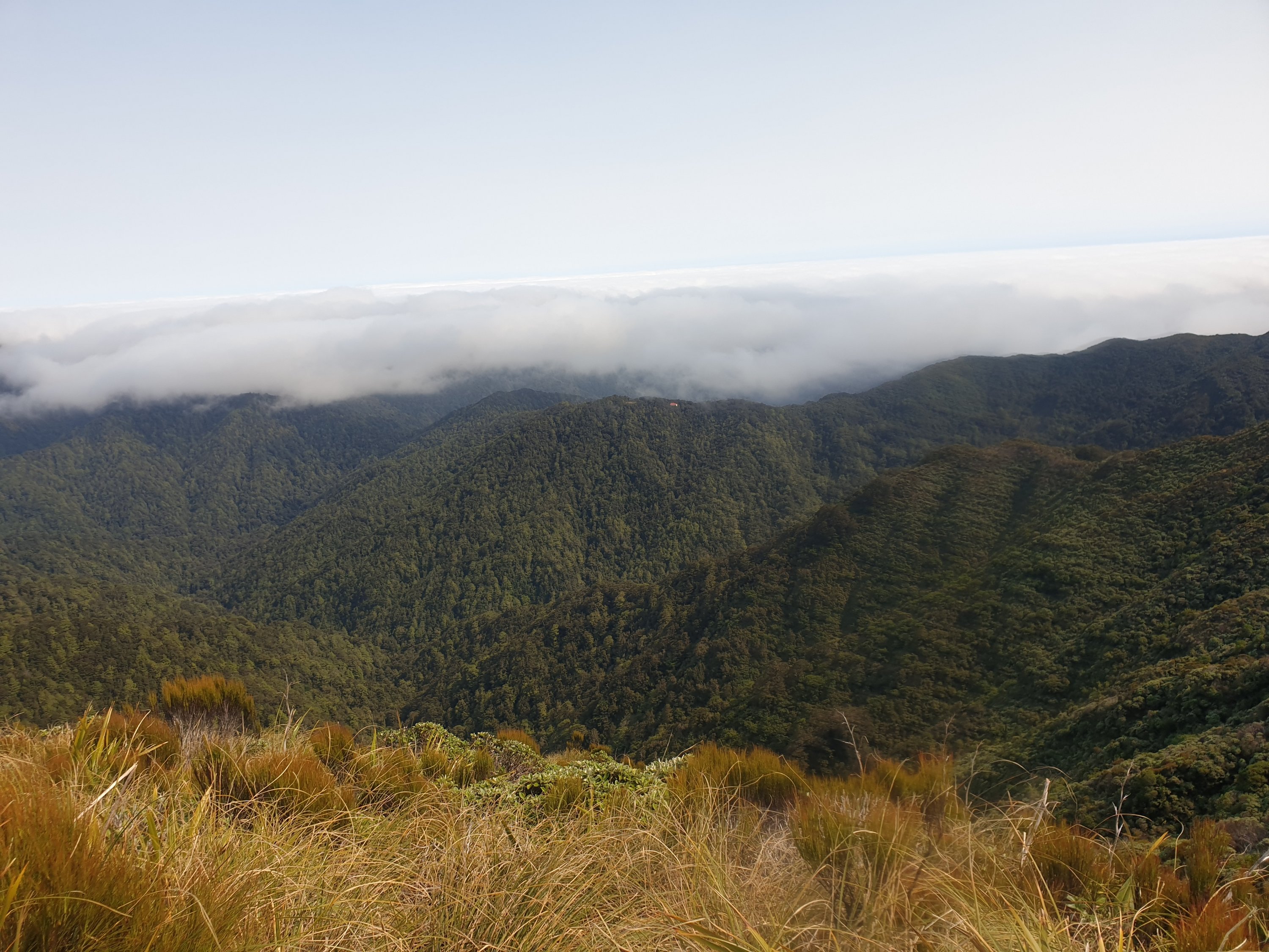 Day 71-74 The Testing Tararua Ranges – Karen's Damn Long Walk
